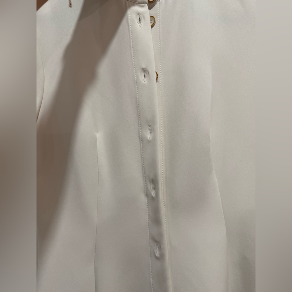 Zara Cream Button-Down Mini Dress - Picture 9 of 11